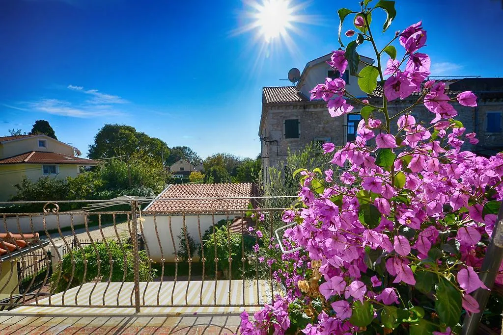 Sonja Vacation House Porec Holiday home